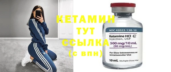 индика Анива
