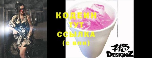 индика Анива
