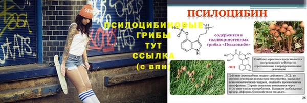2c-b Лиски