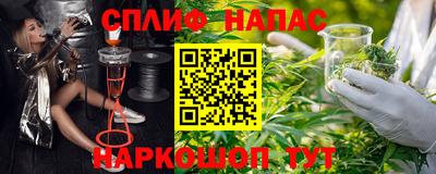 a pvp Кингисепп