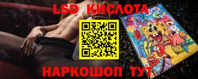a pvp Кингисепп