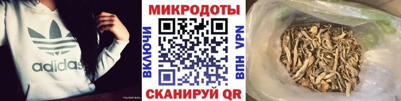 Псилоцибиновые грибы Psilocybine cubensis  где продают наркотики  Рубцовск 