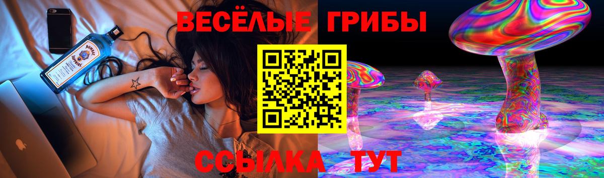 Псилоцибиновые грибы Psilocybine cubensis  Псилоцибиновые грибы мухоморы  наркота  Вход с VPN  Рубцовск 