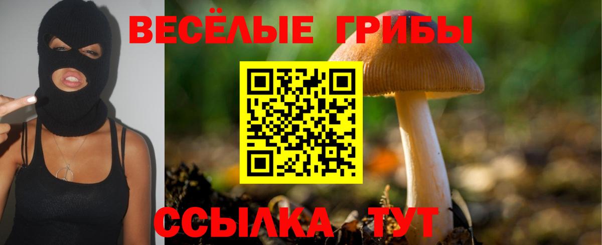 Псилоцибиновые грибы GOLDEN TEACHER Рубцовск